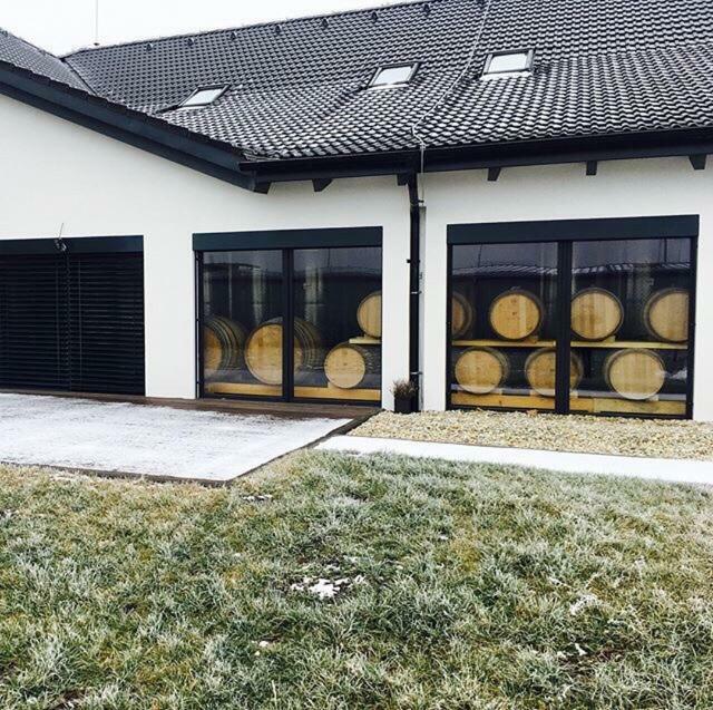 Penzion Vinarstvi Bilkovi Вельке-Биловице Экстерьер фото